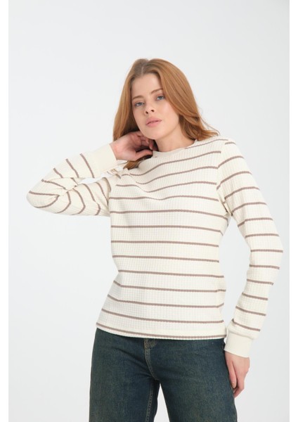 Kadın Çizgili Sweatshirt - Rahat ve Şık Tasarım fiyatları