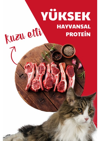 Ekstra Protein Destekli Kuzu Etli Yetişkin Kedi Maması 10kg