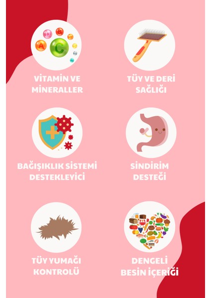 Ekstra Protein Destekli Kuzu Etli Yetişkin Kedi Maması 10kg