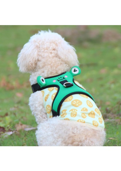 Pet Mesh Nefes Alabilir Küçük Köpek Koşum (Yurt Dışından) fiyatları