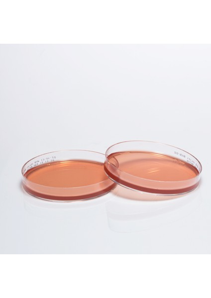 Hazır SS (Salmonella Shigella) Besiyer -10 Adet
