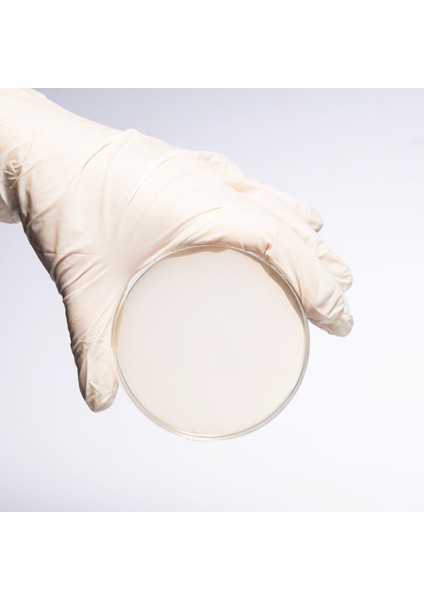 Hazır Chromogenic Kpc ( Cre ) Besiyer - 10 Adet