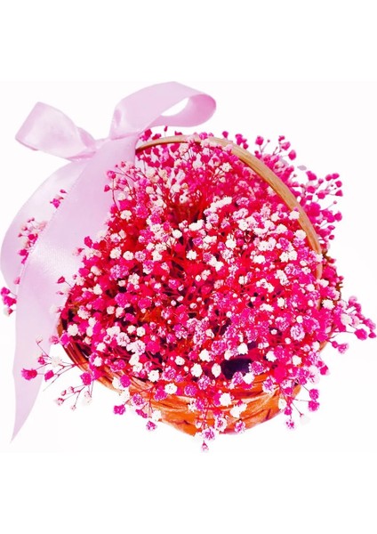 Sepette Pembe Cipso, Şoklanmış Çiçek, Hediye, Iç Mekan Bitkileri, Baby Shower Kız Bebek Parti Çiçeği fiyatları