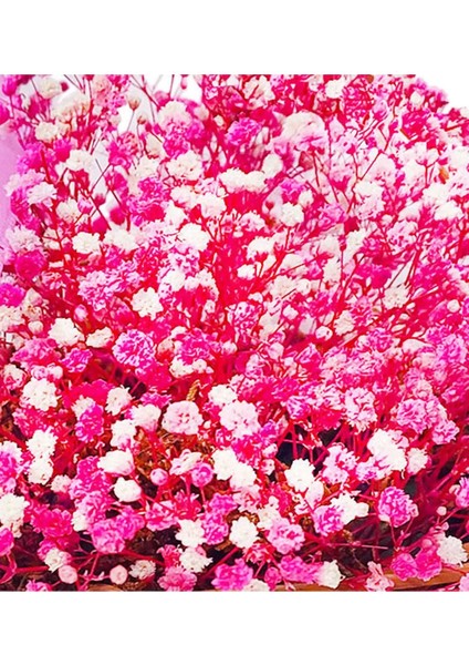 Sepette Pembe Cipso, Şoklanmış Çiçek, Hediye, Iç Mekan Bitkileri, Baby Shower Kız Bebek Parti Çiçeği modelleri