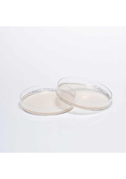 Hazır Chromogenic Candida Besiyer - 10 Adet