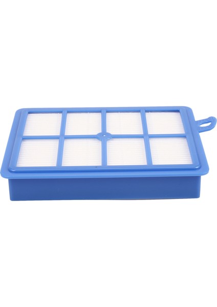 Philips FC9071 FC8038 FC8204 FC8060 FC9150-FC9199 Başlangıç Seti Proformer Pro Filtre S Filtre Hepa 13 Hepa 12 Için 2 Adet Filtre (Yurt Dışından)