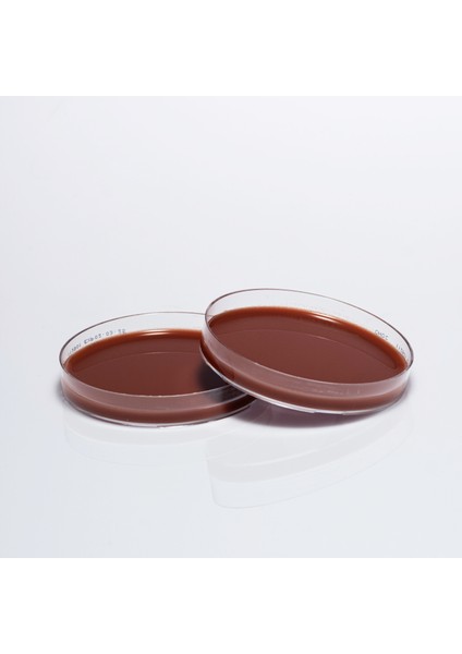 Hazır Chocalate (Çikolata) Besiyer - 10 Adet
