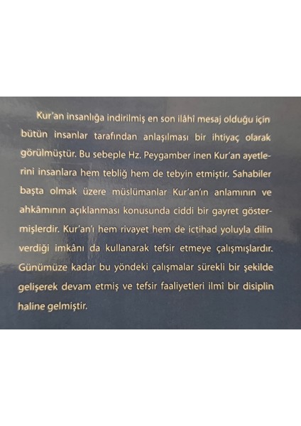Tefsir ve Fıkıh Usulünün Ortak Metodolojik Problemleri