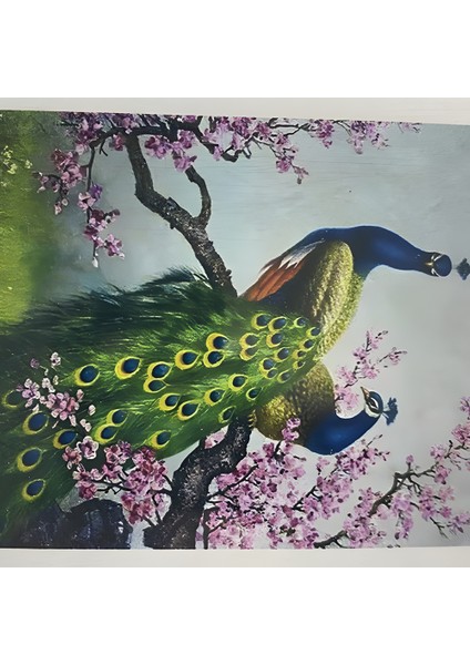 5d Yapışan Boncuk Goblen 30 x 40 cm Mozaik Tablo Pano 60607