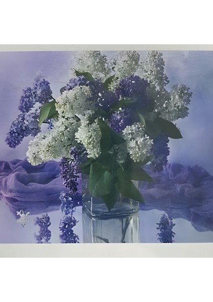 5d Yapışan Boncuk Goblen 30 x 40 cm Mozaik Tablo Pano 60377