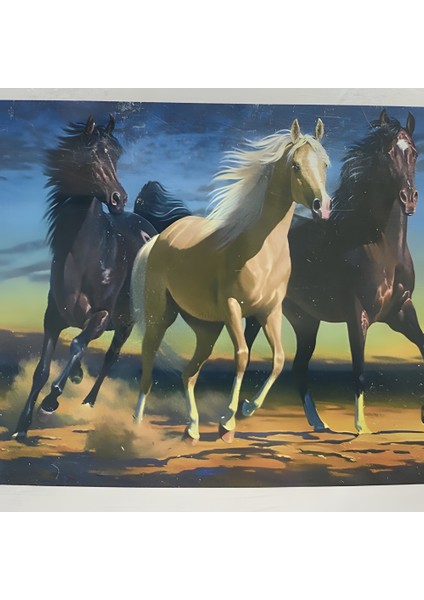 5d Yapışan Boncuk Goblen 30 x 40 cm Mozaik Tablo Pano 60655