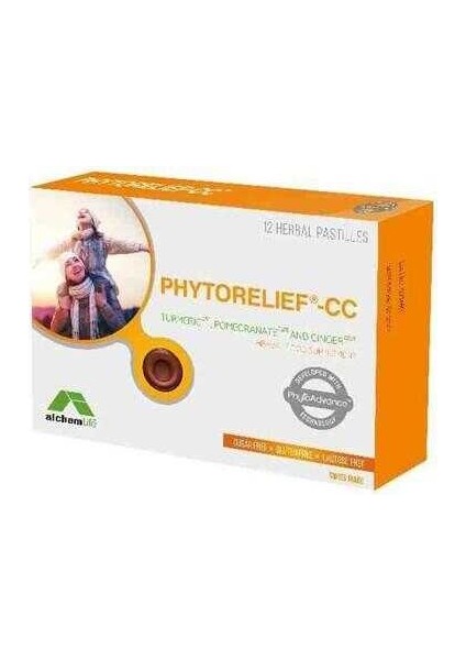 12 Pastil Turmeric Pomegranate Gınger
