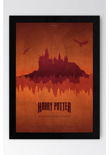 Harry Potter Çerçeveli Tablo - Film Posteri Tablo