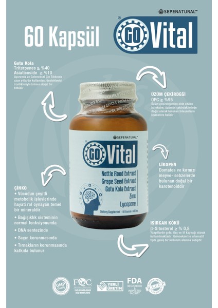 GoVital 60 Kapsül x 425 Mg fırsatları