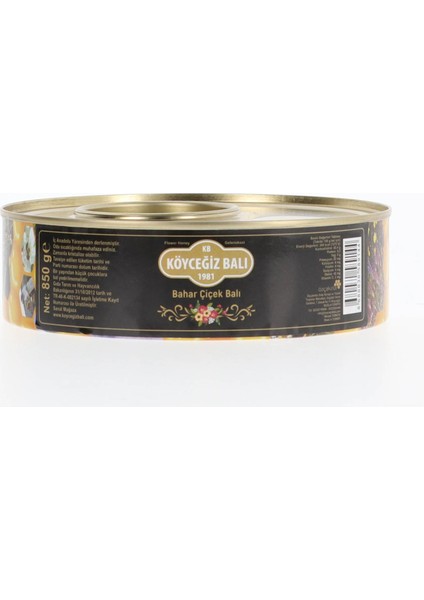 Bahar Çiçek Balı 850 G Teneke