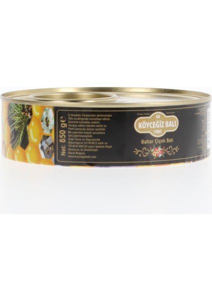 Bahar Çiçek Balı 850 G Teneke fiyatları