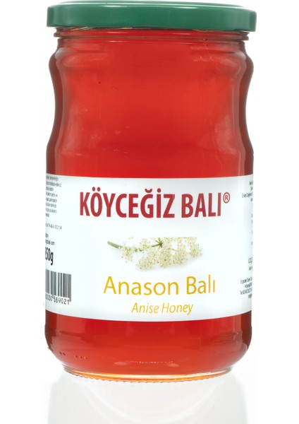 Anason Balı 850 G Cam Kavanoz modelleri