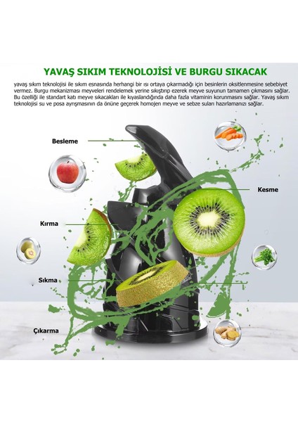 Slow Juicer Yavaş Sıkım Katı Meyve Sıkacağı Soğuk Sıkım Meyve Sıkacağı