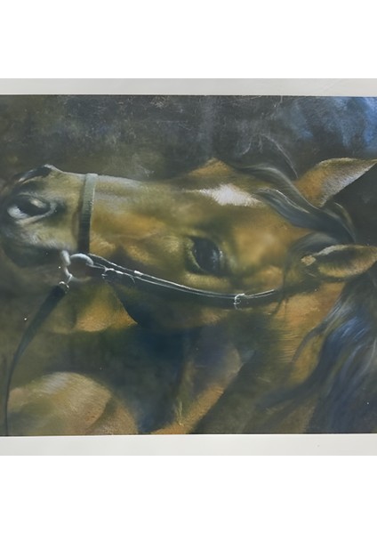 5d Yapışan Boncuk Goblen 30 x 40 cm Mozaik Tablo Pano 60185