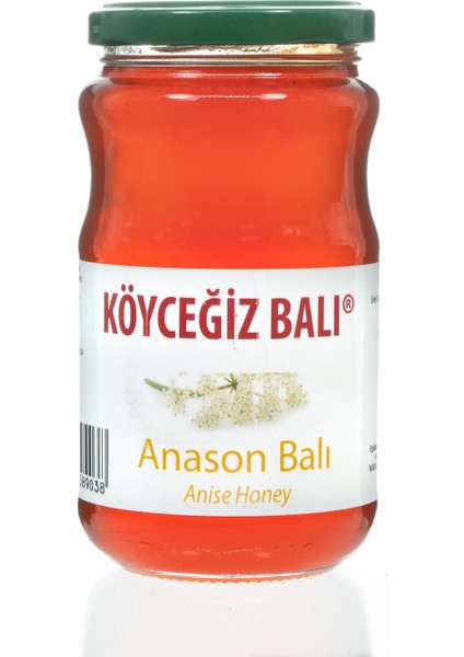 Anason Balı 450 G Cam Kavanoz modelleri