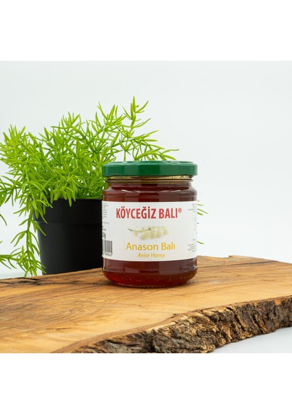 Anason Balı 250 G Cam Kavanoz