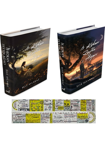 İs Kokan Zeytin Ağacı / 2 Kitap (Ciltli) (Matematik Öğreten Cetvel) - Şule Avlamaz