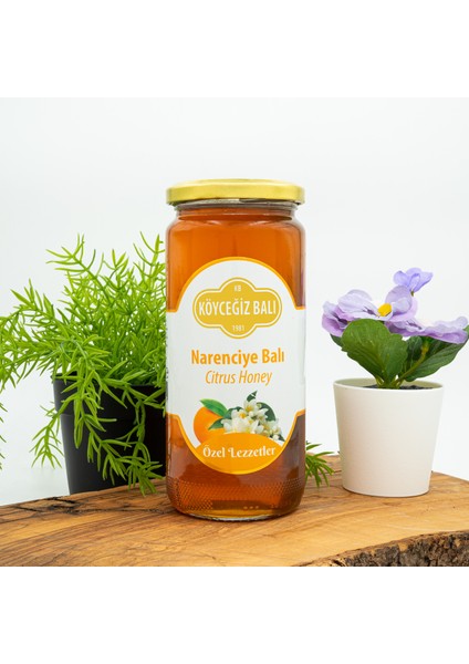 Narenciye Balı 660 GCam Kavanoz