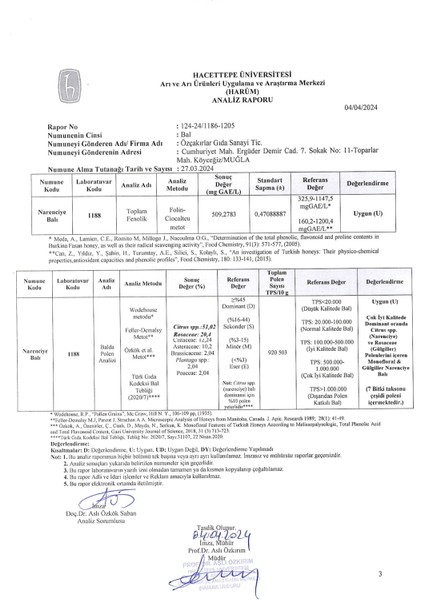 Narenciye Balı 660 GCam Kavanoz