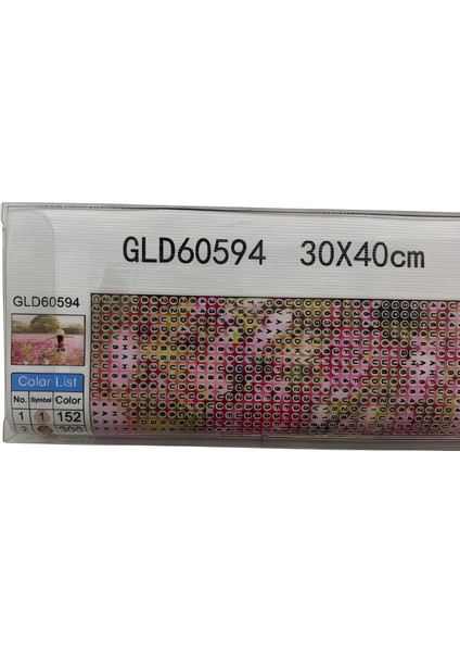 5d Yapışan Boncuk Goblen 30 x 40 cm Mozaik Tablo Pano 60594