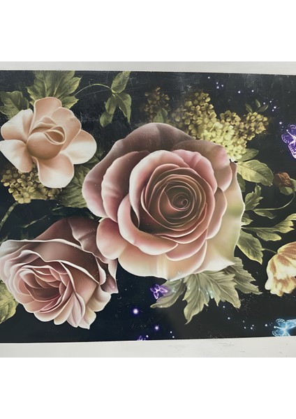 5d Yapışan Boncuk Goblen 30 x 40 cm Mozaik Tablo Pano 60520