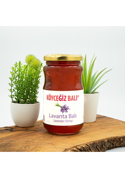 Lavanta Balı 450 G Cam Kavanoz