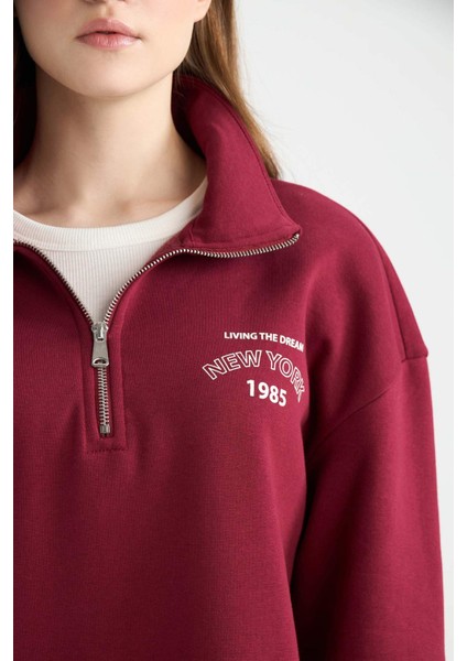 Regular Fit Fermuarlı Dik Yaka Baskılı İçi Yumuşak Tüylü Kalın Sweatshirt Tunik E8846AX24CW indirimleri
