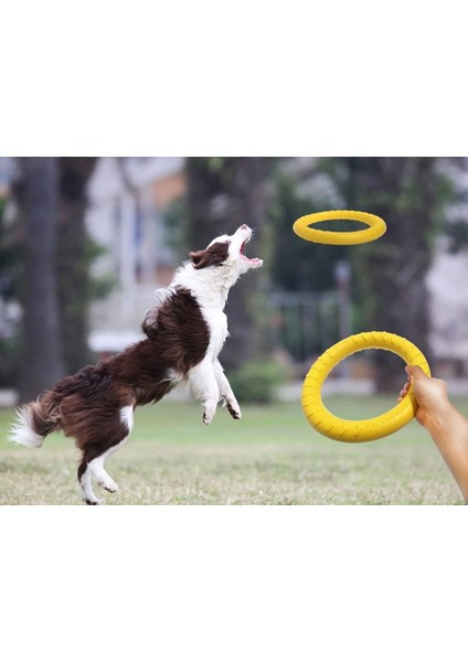 Köpek Eğitim Halkası Frizbi Cekiştirme Eva Köpek Eğitim Malzemeleri