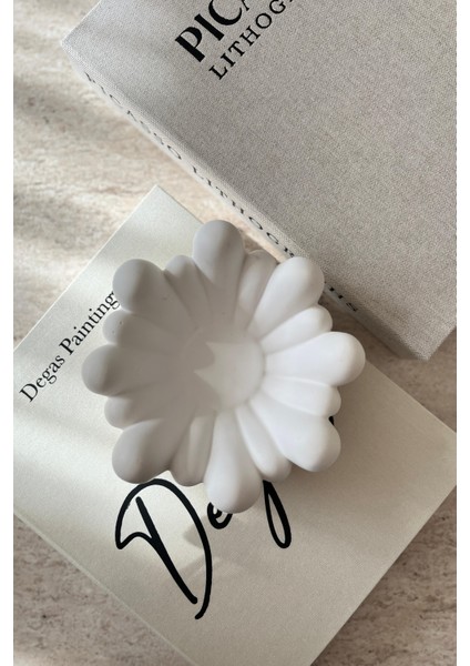 Şık Iskandinav Esintili Dekoratif Beton Kase, Takı Organizer fiyatları