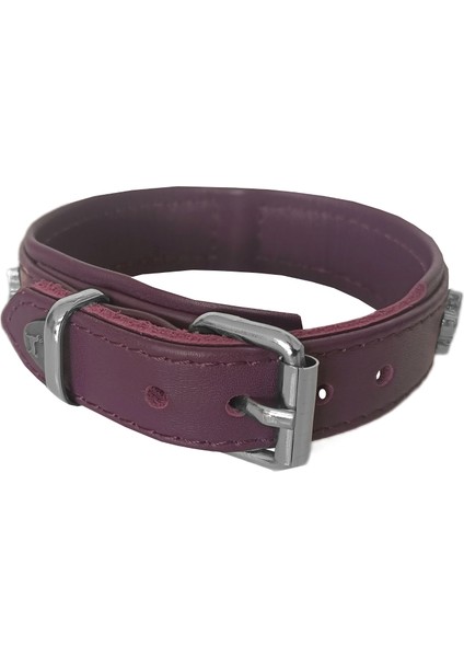 Deri Parlak Taşlı Köpek Boyun Tasması 28-32 cm x-Small Mor