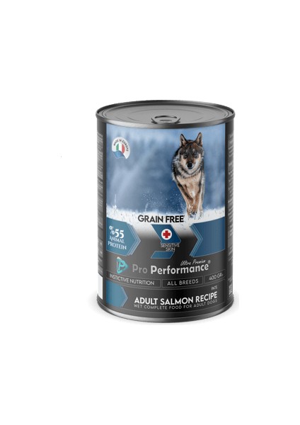 Tahılsız Somon Balıklı Yetişkin Köpek Konserve Maması 400 gr