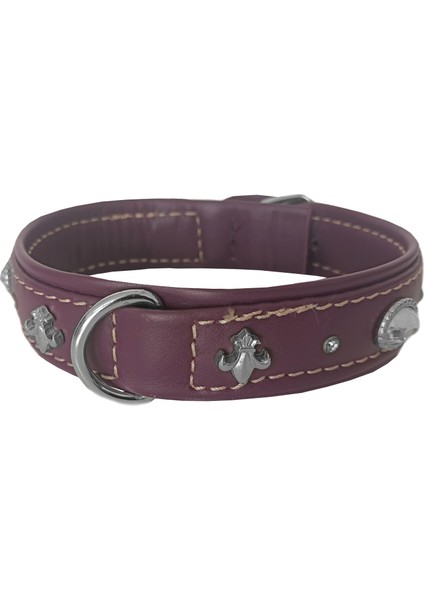 Deri Parlak Taşlı Köpek Boyun Tasması 28-32 cm x-Small Mor