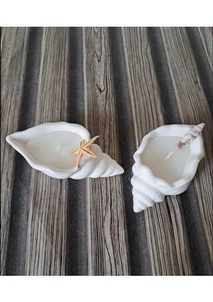 Ipek Hobi Deniz Kabuğu Mumluk Modelleri Silikon Kalıp 2 Li Set