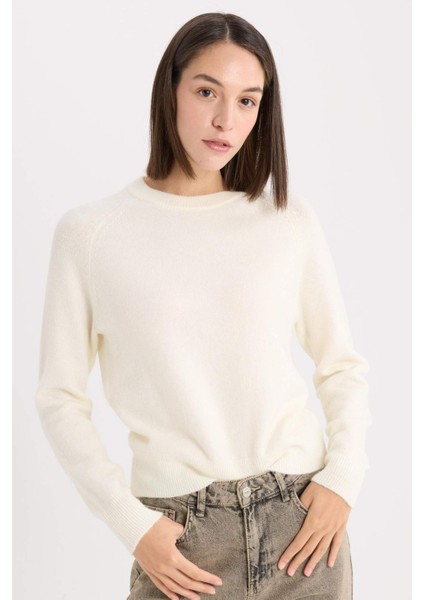 Regular Fit Bisiklet Yaka Basic Düz Soft Touch Yumuşak Triko Kazak D8678AX25SP indirimleri