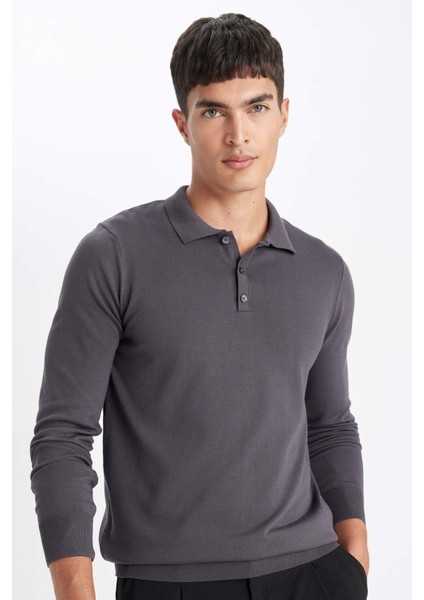 Standart Fit Normal Kesim Polo Yaka Yumuşak Dokulu Premium Triko Kazak D0454AX24AU