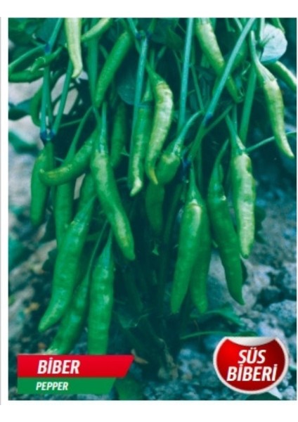 Süs Biberi Tohumu 400 Adet Tohum