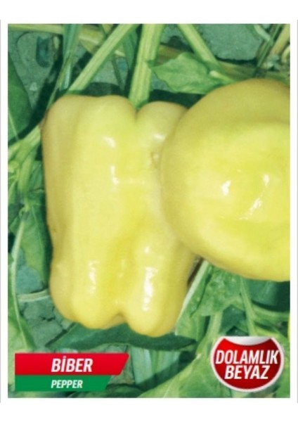 Beyaz Dolmalık Biber Tohumu 10 gr Tohum Aksaray Tohumculuuk