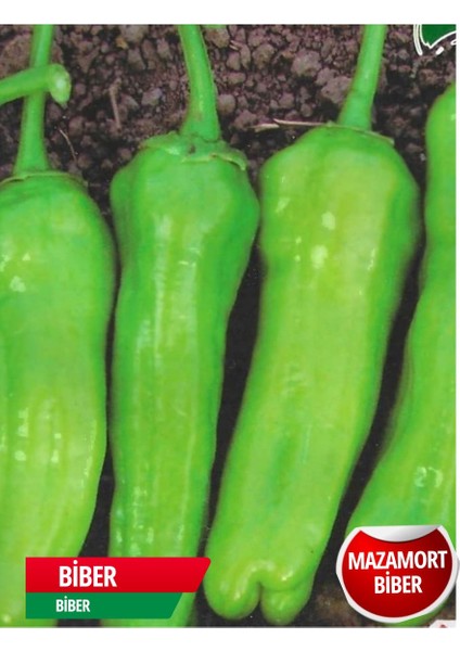 Mazamort Biber Tohumu 10 gr Tohum