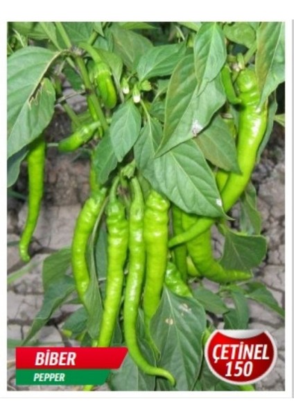 Çetinel 150 Biber Tohumu 25 Adet Tohum
