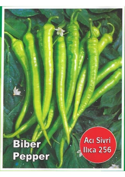 Acı Sivri Ilıca Biber Tohumu 800 Adet Tohum