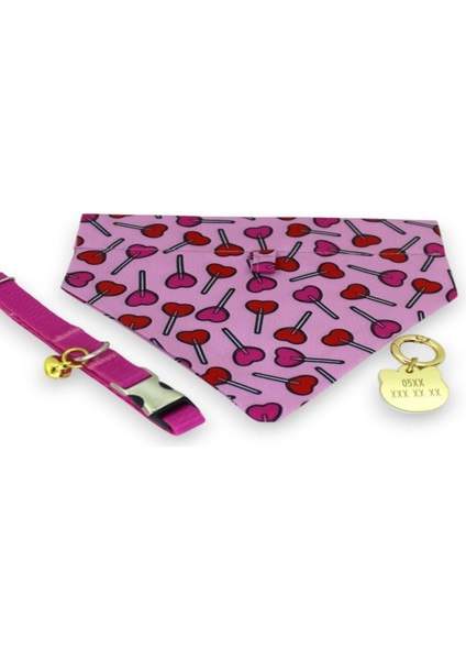 Fularlı İsimli Kedi Tasması fiyatları