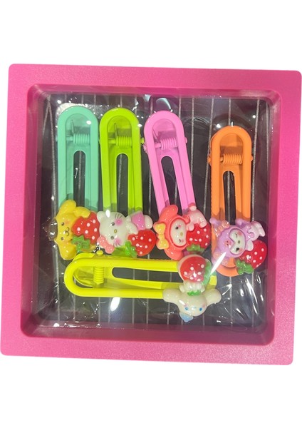 Kutulu Toka Seti Kadın Kız Çocuk Hediye Toka Kromi Toka