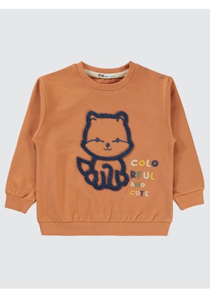 Erkek Çocuk Sweatshirt 2-5 Yaş Tarçın