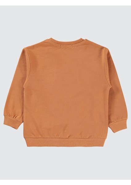 Erkek Çocuk Sweatshirt 2-5 Yaş Tarçın fiyatları