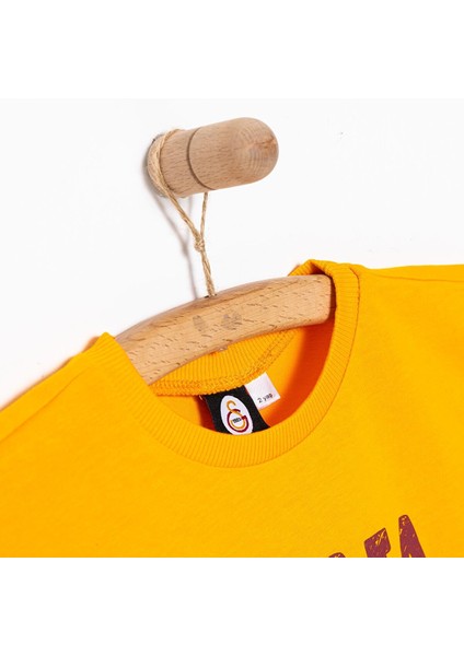 Erkek Tshirt Erkek Bebek